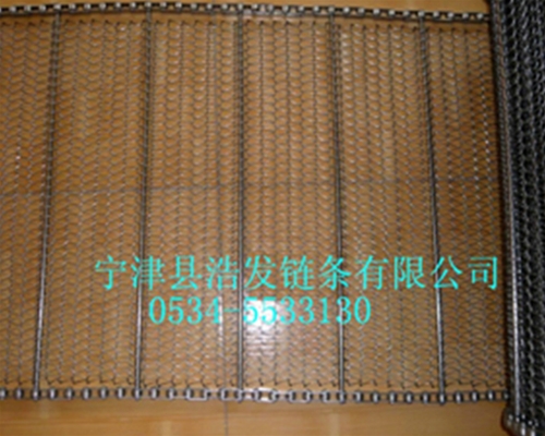 清洗機網(wǎng)帶